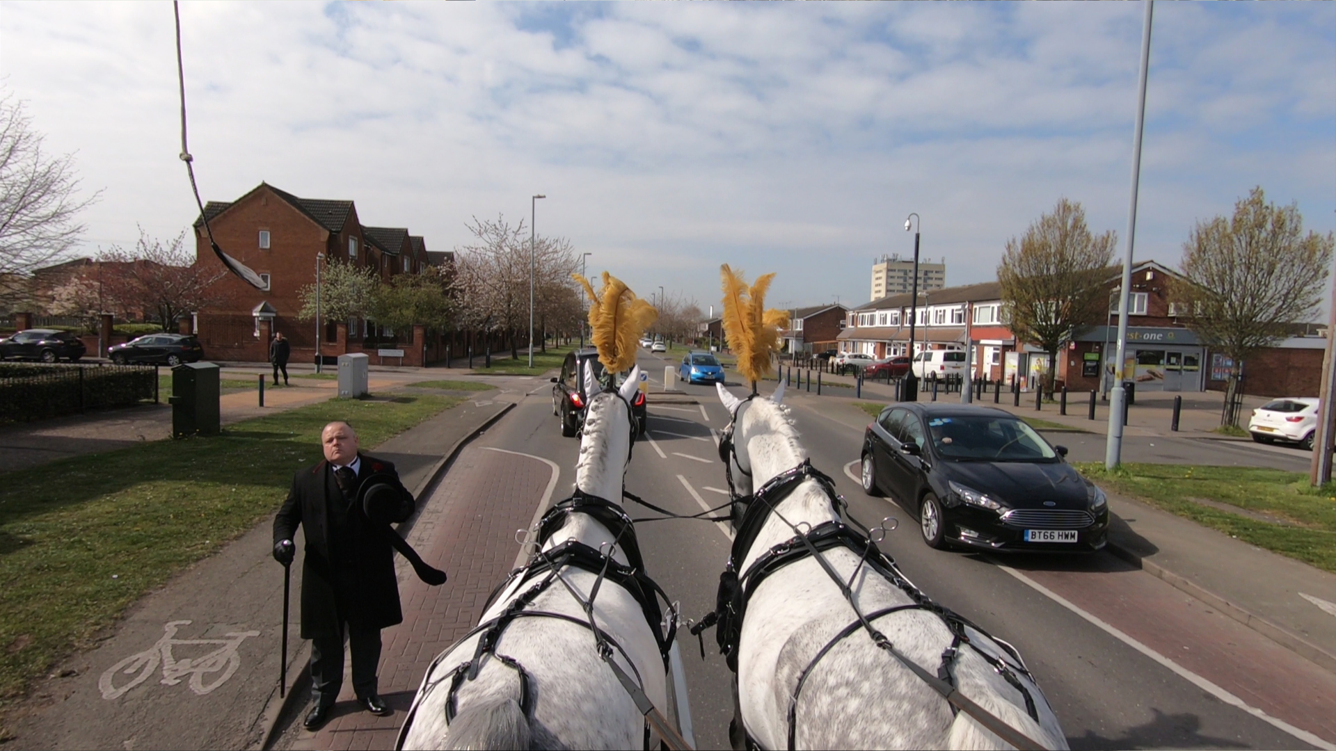 gail edwards. castlevale horses3
